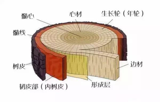 红木家具心材｜缅甸花梨木家具价格｜红酸枝木家具价格｜北京友联红木家具｜北京戴为红木家具｜泓文博雅｜红木家具十大品牌.jpg